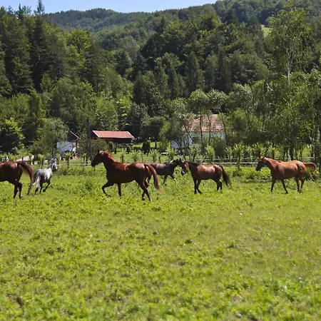 Rezydencja Las Vegas Guest house Podegrodzie (Lesser Poland)